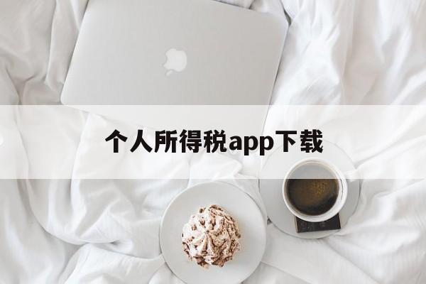 个人所得税app下载(个人所得税app下载官方免费下载)